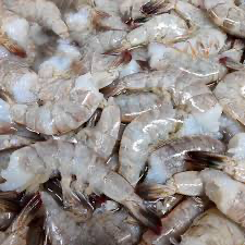 Fresh shrimps